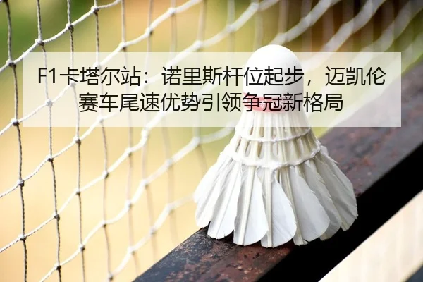 F1卡塔尔站：诺里斯杆位起步，迈凯伦赛车尾速优势引领争冠新格局